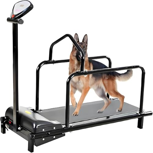 Löpband för hundar, fitnesslöpband för husdjur, löpband för små hundar, löpband för husdjur, lämpligt för små hundar, katter och andra små husdjur att träna.