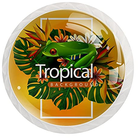 Frog - Set di 12 pomelli rotondi in cristallo per cassettiera, armadietto, armadio, con viti, decorazione per casa, ufficio