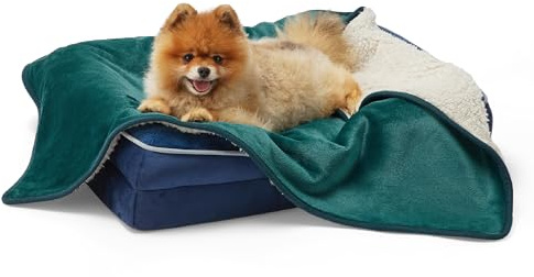 LE SURE Couverture Imperméable pour Petits Chiens - 80x60cm Couverture pour Chien Lavable, Protection de Canapé, Couverture pour Chat Douce et Moelleuse, Vert Foncé