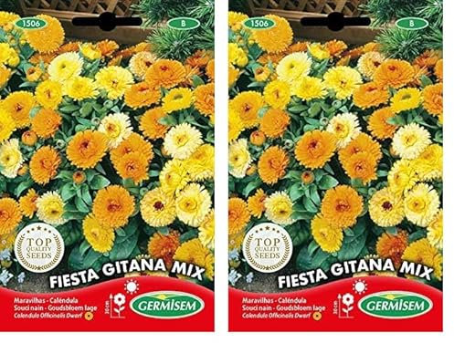 Germisem Fiesta Gitana Mix Semillas de Caléndula 1.25 g (EC1506) (Paquete de 2)