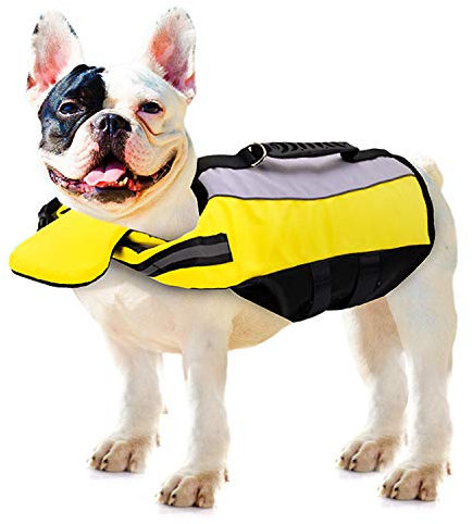 PETCUTE Schwimmweste Hunde hundeschwimmweste Wassersport Schwimmhilfe für Hunde Rettungsweste klein Mittel groß Schwimmtraining für Klein Hunde Reflektierend Mit Griff
