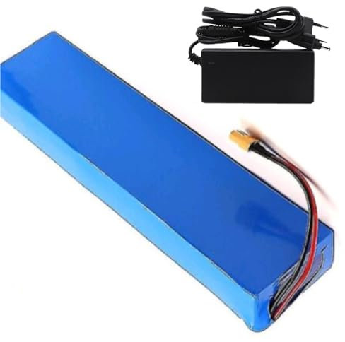 48V 20Ah Battery Lithium Battery 13S3P Electric Bicycle Moped Electric Waterproof Li Ion Battery Pack with Charger(XT60)