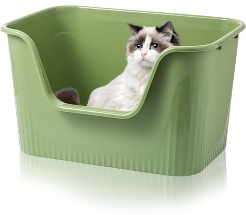 Duscdesp Caja de arena para gatos abierta, grande, 44 x 38 x 22 cm, borde alto, sin tapa, resistente a salpicaduras para gatos grandes, gatitos pequeños, inodoro XXL, color verde