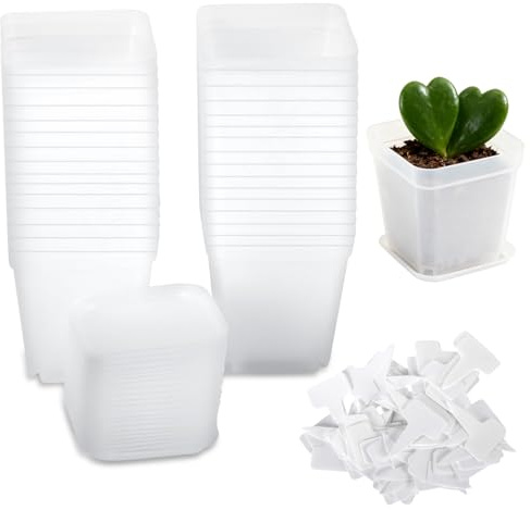 Gykutix ELLER Set med 30 stycken 7 cm fyrkantiga plastblomkrukor med fat, tjocka blomkrukor, fyrkantiga plastkrukor med dräneringshål för frön, suckulenter, vita