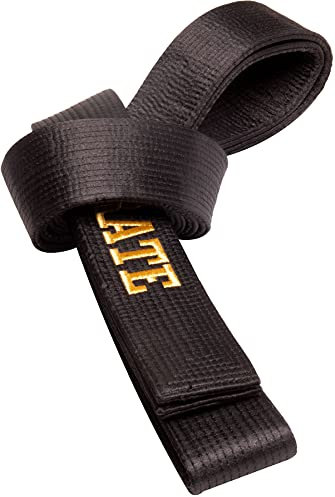 Hayashi Budogürtel in Glanzoptik mit Box (mit Bestickung) „Karate“ - schwarz, Gr. 300 cm