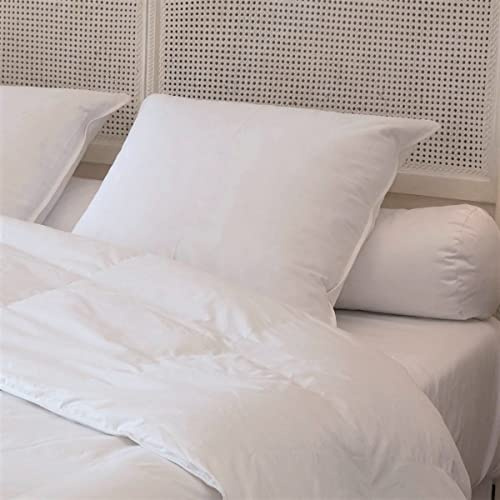 CASTEX- Oreiller Plat Moelleux Plume-Duvet 50x70