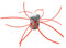 Avalon - Testa decespugliatore Universale Testa multifilo in Alluminio Professionale (1 Testa di Filo + 4-8 Fili)