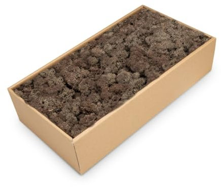 NaDeco Islandmoos in Natur und 30 weiteren Farben zur Auswahl | Deko-Moos | Rentier-Moos | Reendier Moos | Bastel-Moos | Dekomoos | Moos-Deko, Farbe:Braun