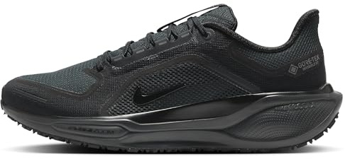 Nike Mens Pegasus 41 Gore-TEX Black/Black/Anthracite 11 Medium