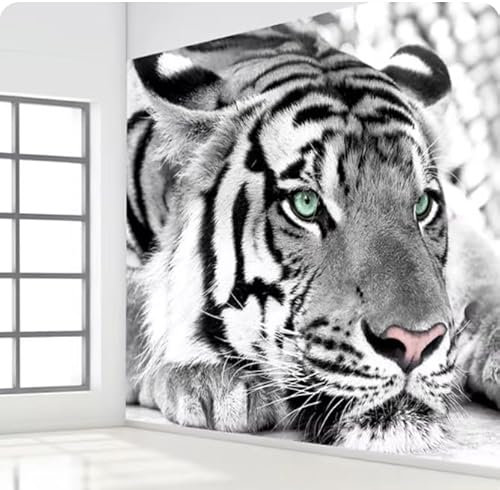 3D-Tapete, Schwarz-Weiß-Fototapete, Wandbild, Hintergrund, Heimdekoration, 3D-Raumtapete, 3D, 430 x 300 cm
