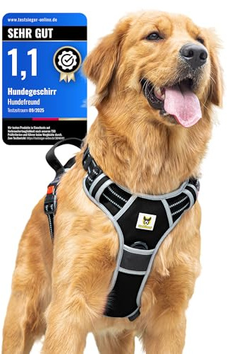 Hundvän hundsele för stora hundar – reflekterande, vadderad och justerbar – sele med handtag och 3 säkerhetslås – säker promenad och körning – (XL, svart)
