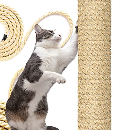 DQ-PP SISALSEIL | 10 m | 10 mm stark | Natürliches Sisal Seil für Kratzbaum Katzenbaum | Kratzseil DIY Fuer Katzen Ersatzteile