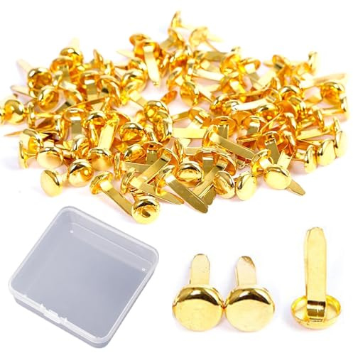 200Pcs Split Pins, Metal Paper Fasteners Brads, Round Head Brads Split Pins | 8x18mm Gold Split Pins with Storage Box for DIY Crafts Projects Scrapbooking Photo Walls