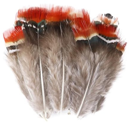 Paon faisan poulet plume en vrac 3-15 cm bricolage artisanat bijoux boucles d'oreilles mariage plume décoration(Black,20PCS)