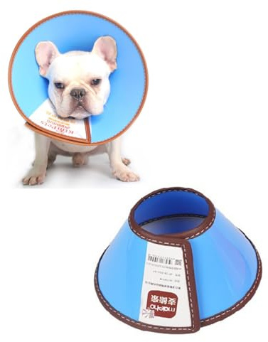 GAJUS 1 Stück Haustierhalsband, längenverstellbar von 14,5 bis 20,3 cm, leichter Schutzring, geeignet für Welpen, kleine Hunde und Katzen (blau – M)