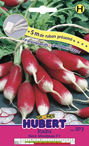 Ruban Présemé Graines de Radis Mirabeau F1