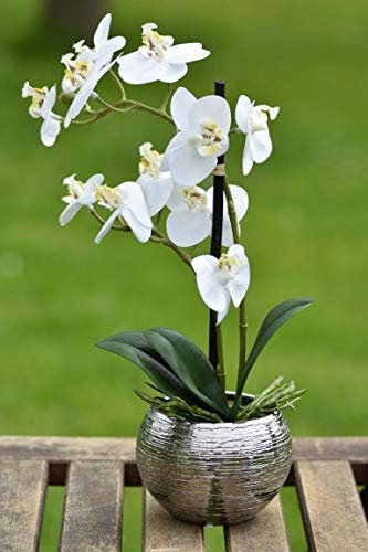 Orchidee Kunstpflanze Phalaenopsis Creme weiß Höhe 30cm Keramiktopf Silber