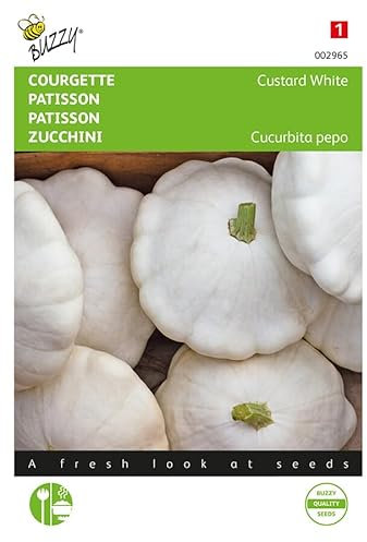 Buzzy Seeds 002965 Zucchini Custard White (Zucchinisamen)