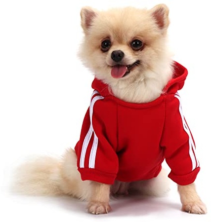 QiCheng & LYS Manteau Polaire pour Chiot, Pull Chihuahua, Vêtements Chien, Manteau Hiver (Rouge, Small)