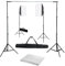 vidaXL Kit da studio fotografico con scatole luminose e sfondo