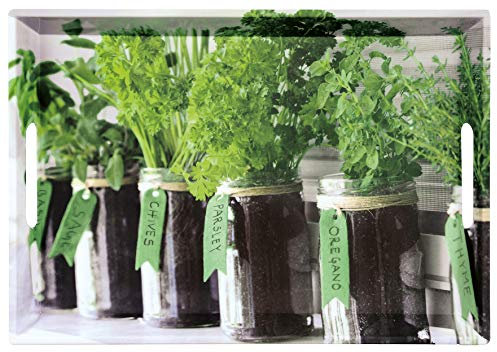 Kesper Bandeja para Servir 77334, diseño de Herbs, 50 x 35 x 4,5 cm, Melamina, Verde, 50 x 35 x 4 cm