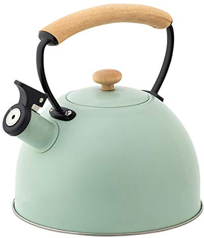 Bouilloire Théière Sifflante 3 Litres, Bouilloire Sifflante Induction En Inox, Poignée Fixe De Protection Thermique, Pour Tous Feux Dont Induction 20,4 * 22,3cm (vert)