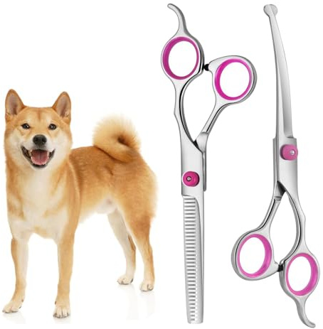 XoeLLe Professionnel Ensemble de Ciseaux de Toilettage pour Chien et Chat, Lot de 2 avec Embouts de Sécurité Ronds pour Salon (Rose)