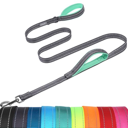 VIVAGLORY Führleine Hund Twingrip Leine Hund, 1.8m x 2.5cm, Grau