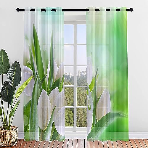 Highdi Voile Vorhänge mit Ösen 2er Set, Transparente Gardinen für Wohnzimmer Ösenschal Halbtransparent Ösenvorhang für Schlafzimmer Moderne Übergardinen Ösen (Tulpe A,214x244cm)