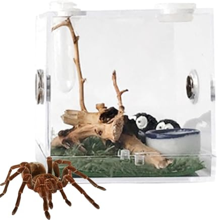 Zuchtbox – Acryl-Zuchtbox Für Krabbeltiere, Transparente Aufbewahrung Von Lebendfutter | Tragbares Reptiliengehege Aus Acryl, Insektengehege, Terrariengehäuse Für Haustierschlangen, Spinnen, Eidechsen