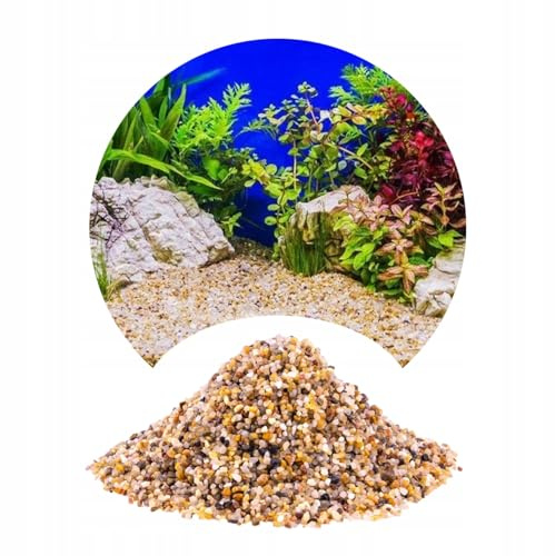 TD STONES Aquarium Kies Bernstein Gelb 2-4mm (24kg) - Quarzkies Naturstein Bodengrund für Fische & Garnelen - Dekorativer Aquariumboden für Wasserpflanzen