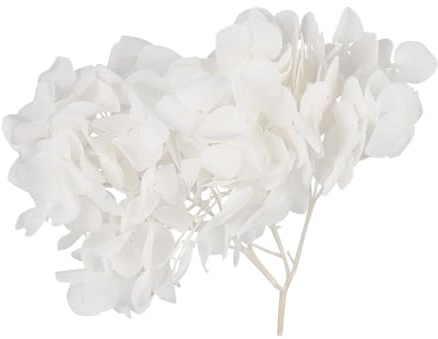 Holibanna 1Paquet Fleurs Stabilisées Blanches Hortensia Séchés pour DIY Et Décorations Fournitures De Nail Art Et Bricolage