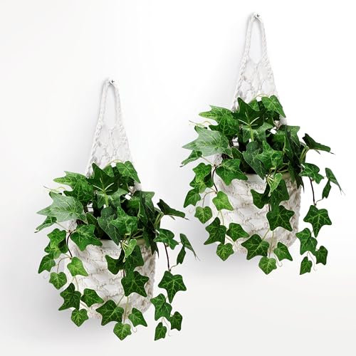 Shineloha Hängende Pflanzgefäße für Zimmerpflanzen bis zu 15,2 cm, Wandpflanzenhalter | Pflanzenaufhänger für Innenpflanzen, Hängepflanze (2 Stück, für 15,2 cm Topf)