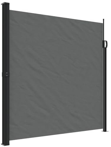 Nqyjm Toldo de privacidad, toldo lateral, extensible, color antracita, 200 x 300 cm, toldo lateral opaco para balcón, terraza, jardín