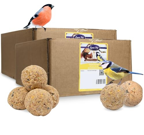 Lyra Pet® 2 x 100 Boules de Graisse sans Filet 90 g = 9 kg Oiseaux Sauvages