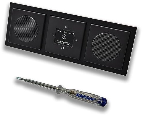 Busch Jäger DAB+ Unterputz Bluetooth (in and out) Radio 8217U-101 Future Anthrazit, Komplett-Set mit 2 x Lautsprecher, Abdeckungen, Rahmen + EBROM Phasenprüfer zur Montage d. Geräte - 8217 U – 101