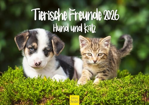 Edition Seidel Calendario premium de Amigos Animales Perro y Gato 2026 Formato DIN A3 Calendario de Pared Calendario Animales Perros Gatos Cachorros Gatitos Amistad
