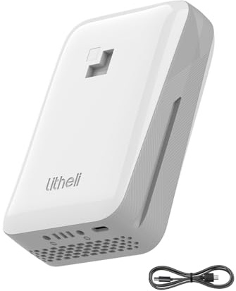 Litheli Batería de iones de litio de 20 V, 4,0 Ah, 20000 miliamperios, adecuada para todos los dispositivos Litheli, con indicador LED, para alimentar dispositivos inteligentes.