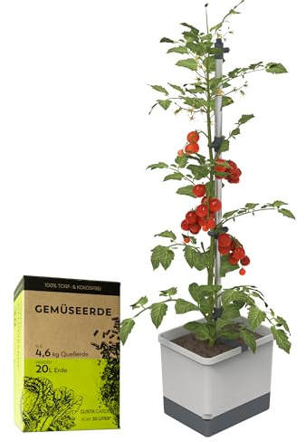 GUSTA GARDEN Tom Tomato tomatkruka ljusgrå – blomkruka med växtstöd, bevattningssystem och fästkrokar – set inkl. 20 l jord – 4,5 l vattentank och 20 l jordvolym (ljusgrå, med jord)