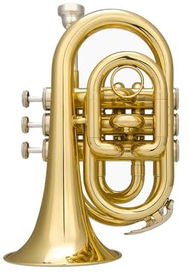 Tromba Portatile in Si Bemolle, Uno Strumento in Ottone, Facile Da Suonare