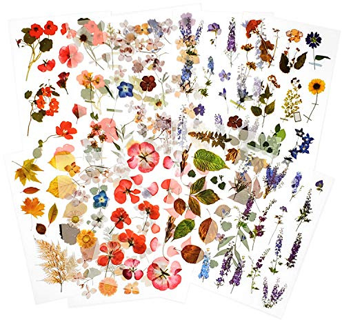 10 ark Rub On Trans-klistermärke blomväxt design planerare dekal för scrapbooking, planerare, hantverk och korttillverkning (trädgård)
