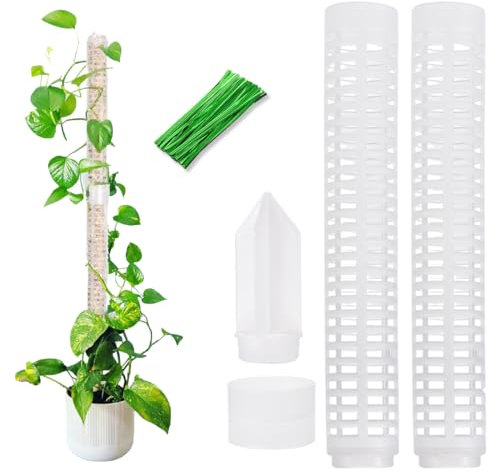 2 Pezzi Palo Muschiato per Piante Rampicanti – Bastone con Muschio e 20 Fascette – Supporto Tutore per Monstera, Filodendro, Edera e Piante da Interno ed Esterno (28,5 cm)