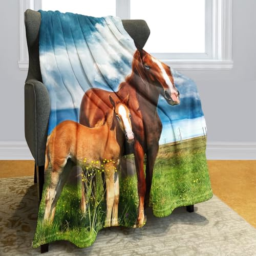 Violetpos Dick Decke Weich Wärme Gemütlich Flanell-Fleece Sofadecke Deckeldecke Zwei Pferde Stehen Auf Dem Gras Blauer Himmel 125 x 200 cm