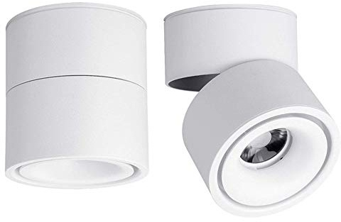 Yodaba LED Ceiling Spotlight-Indoor 360°Adjustable Surface Mounted 10W COB Ceiling Downlight-Wall Lamp for Picture Background Wall Display Lighting(White,6000K Cold Light)