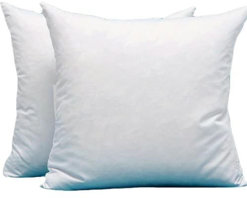 Lot de 2 coussins décoratifs avec garnissage en duvet et plumes, noyau de coussin carré, inserts moelleux, C345 x 45 cm