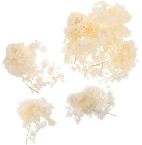 Alipis Petali di Ortensia Essiccati Fiori Naturali Conservati per Decorazioni Floreali Eleganti Accessori per Matrimoni e Feste Composizioni Fai da Te