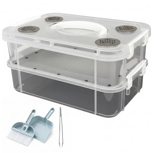 Kit per l'allevamento dei vermi della farina - Contenitore trasparente per animali con separazione automatica dei rifiuti per insetti vivi come scarafaggi e grilli Dubia - Include strumenti per la pu
