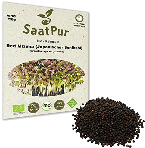 250g BIO Keimsprossen Japanischer Senf Red Mizuna Keimsaat für die Sprossenanzucht Sprossen Microgreens Mikrogrün
