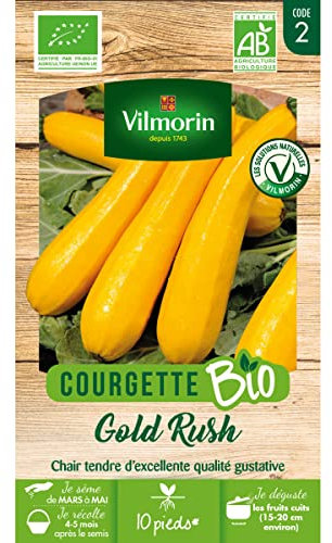 Courgette Jaune Gold Rush HF1 - BIO