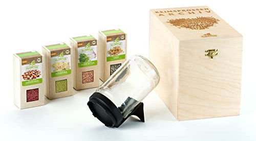FLORTUS BIO Keimsprossen Archiv Geschenkbox - Asiatisch inkl. 4 Sprossensorten | Mungbohnen, Linsen, Adzukibohnen & Daikon Rettich | Geschenkset mit Sprossenglas | Keimsprossenbox Holzbox mit Deckel